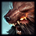 Udyr counters
